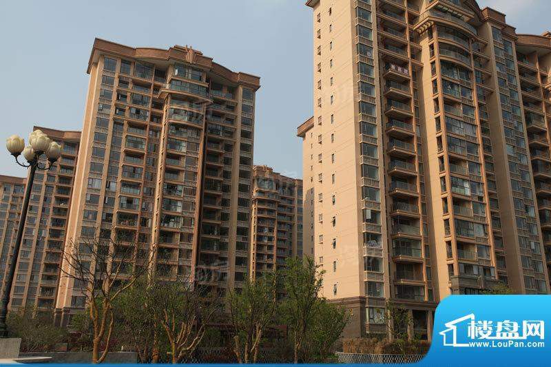 合景峰汇国际配套图