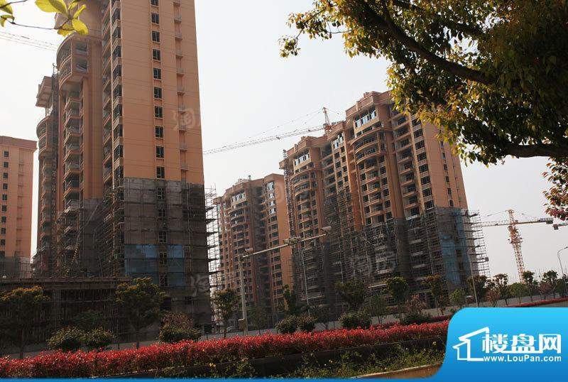 合景峰汇国际配套图