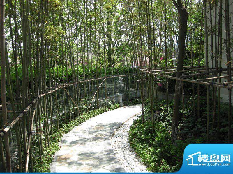 合景峰汇国际配套图