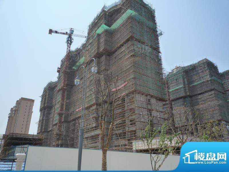 合景峰汇国际配套图