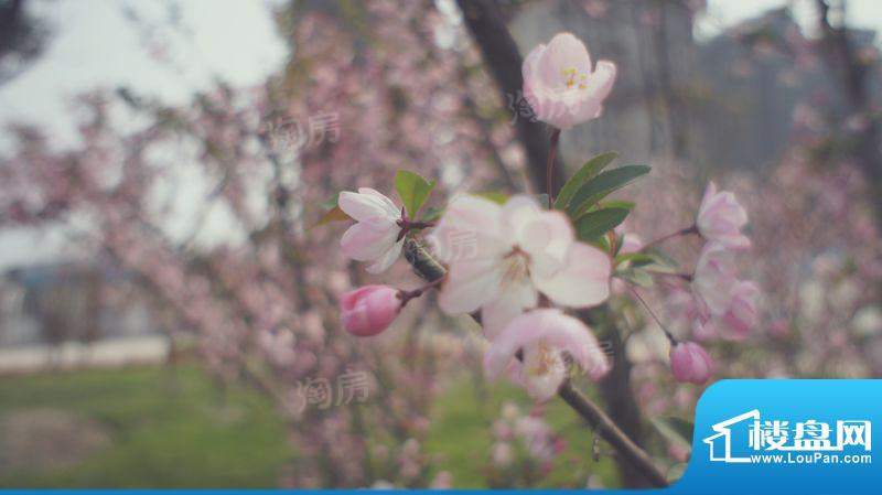 万业湖墅金典配套图
