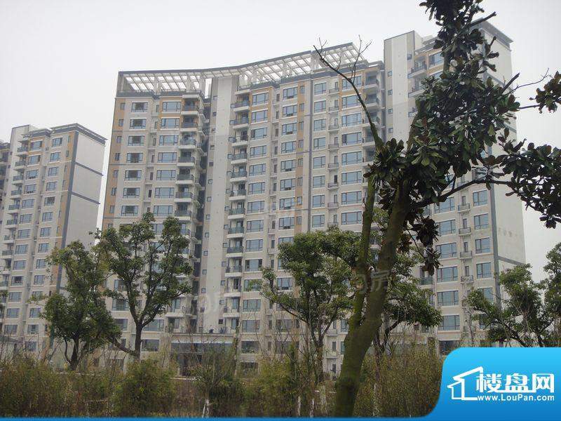 恒基水漾花城配套图