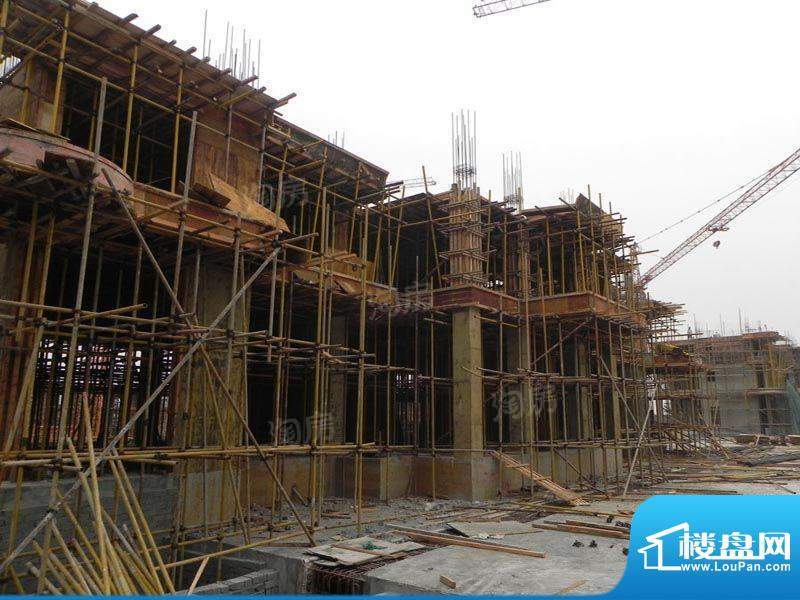 百盛国际名都配套图