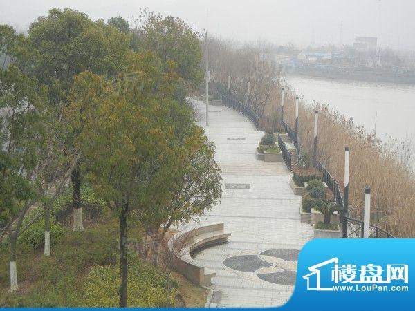 星汇半岛配套图
