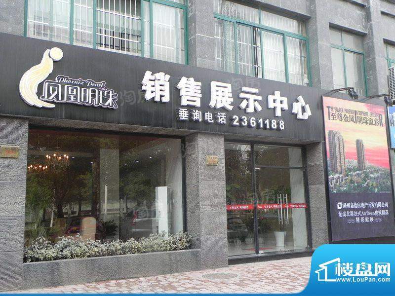 凤凰明珠配套图