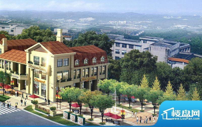 中央公馆配套图