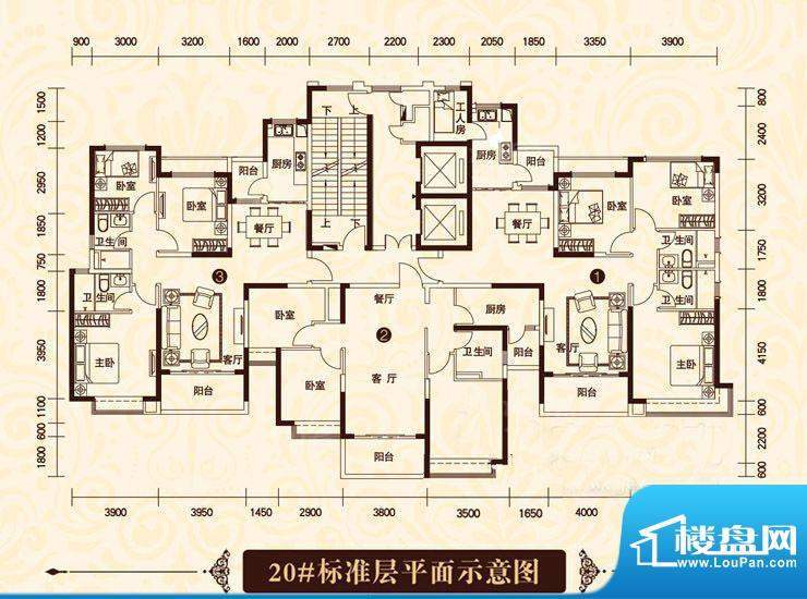 恒大绿洲20#标准层3面积:119.90m平米