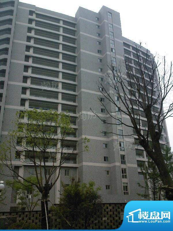 中楠穆溪左岸配套图