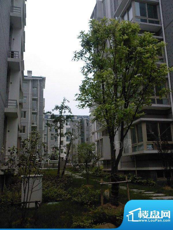 中楠穆溪左岸配套图