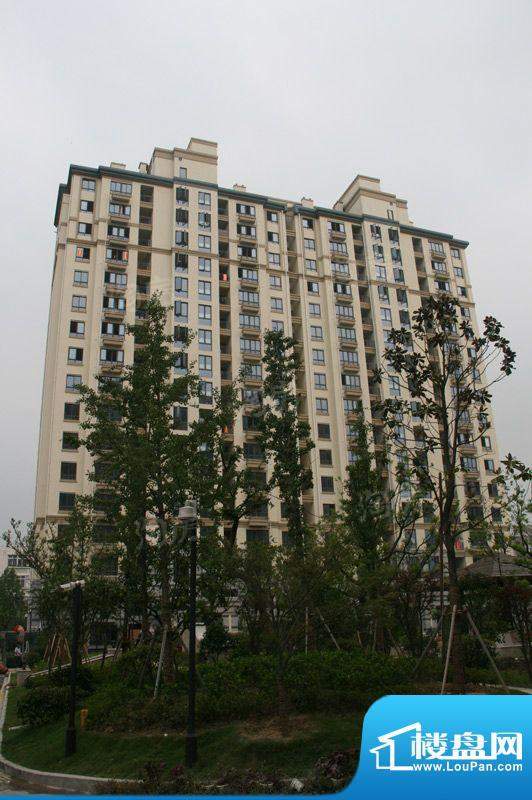 诚河新旅城配套图