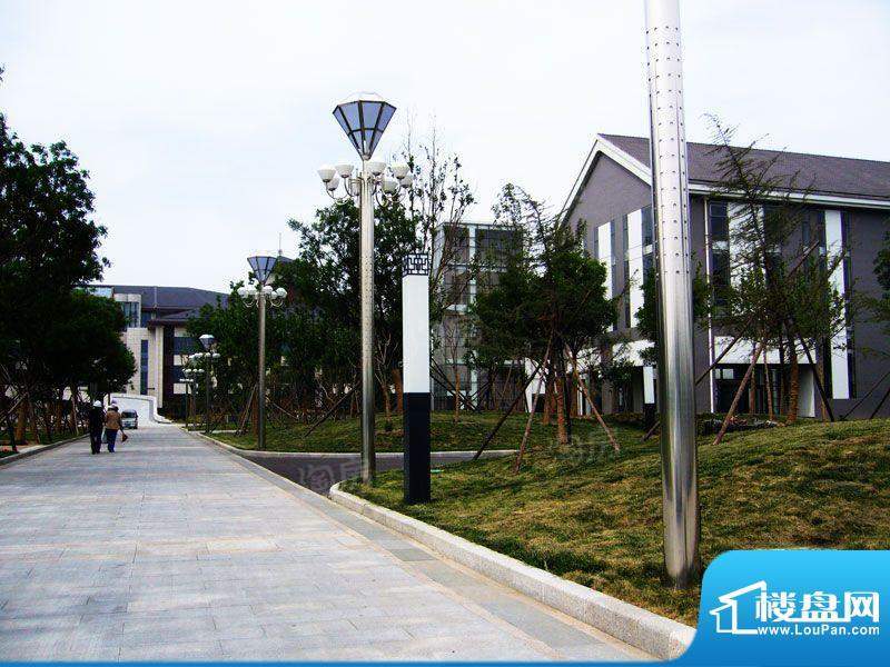 鸿嘉星城配套图