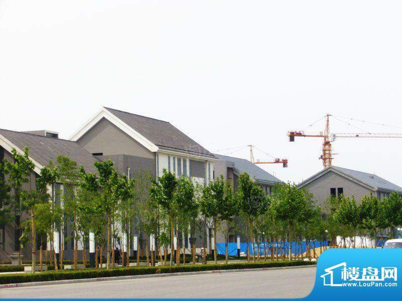 鸿嘉星城配套图