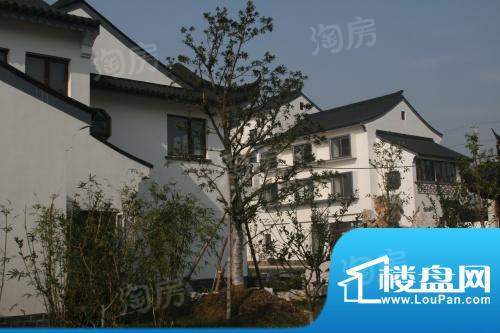 金庭乐府配套图