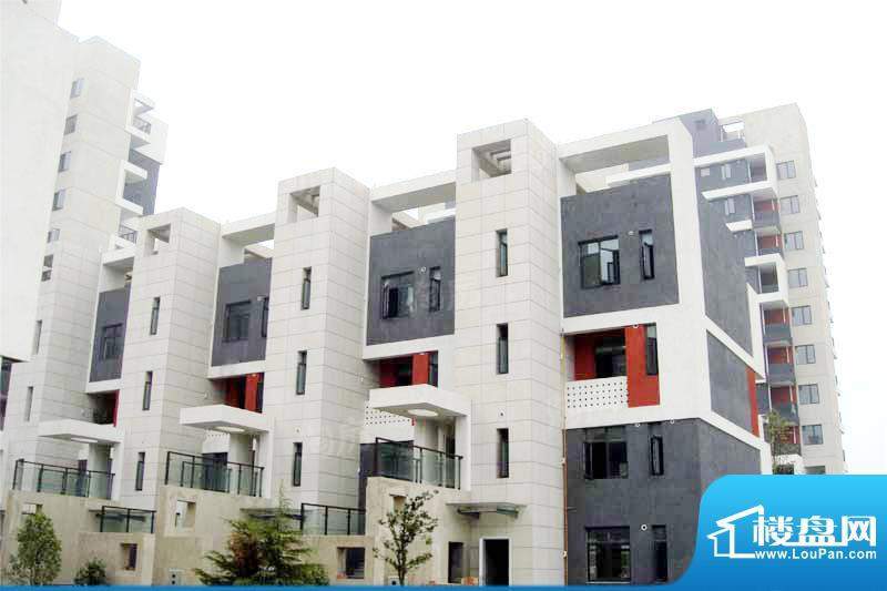 临港蓝色城邦别墅配套图