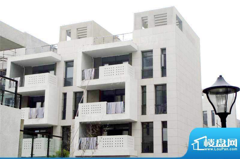 临港蓝色城邦别墅配套图