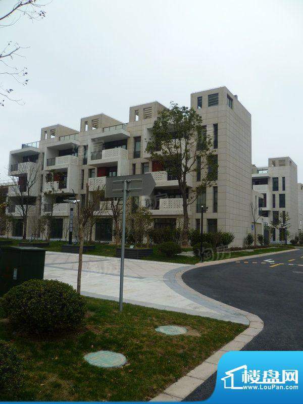 临港蓝色城邦别墅配套图