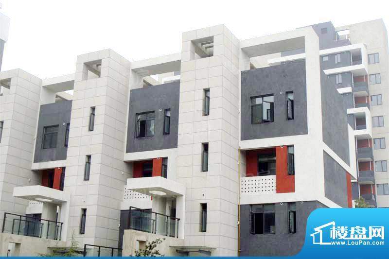 临港蓝色城邦别墅配套图