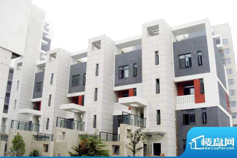 临港蓝色城邦别墅配套图