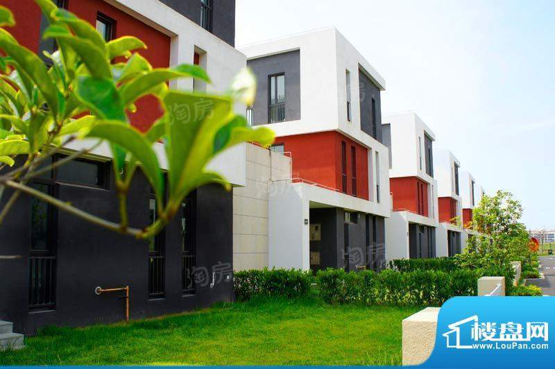 临港蓝色城邦别墅配套图