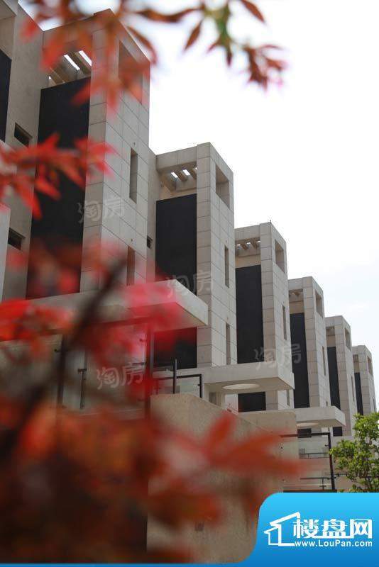 临港蓝色城邦别墅配套图