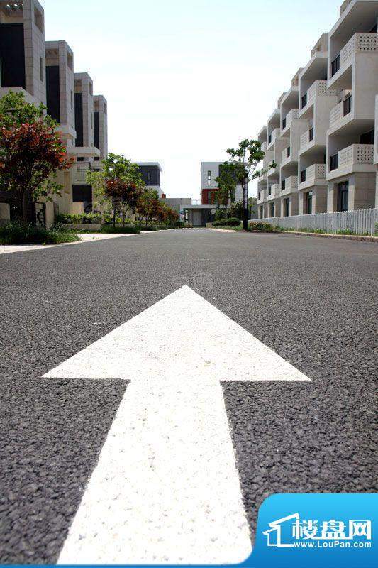 临港蓝色城邦别墅配套图