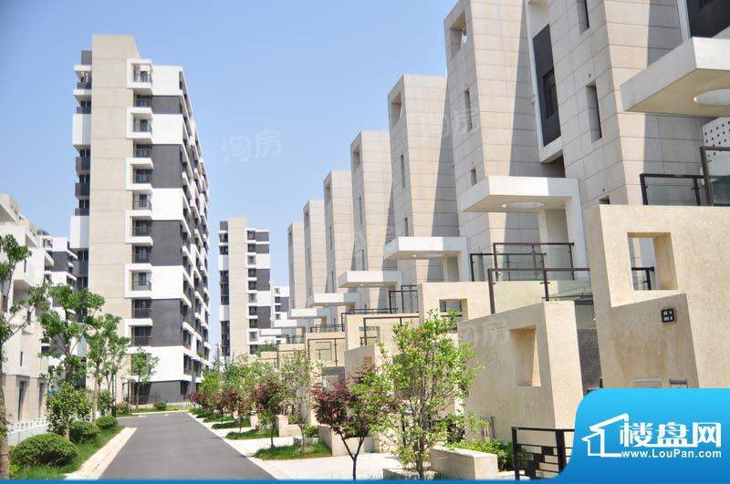 临港蓝色城邦别墅配套图