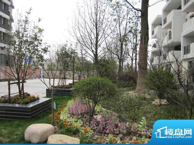 临港蓝色城邦别墅配套图