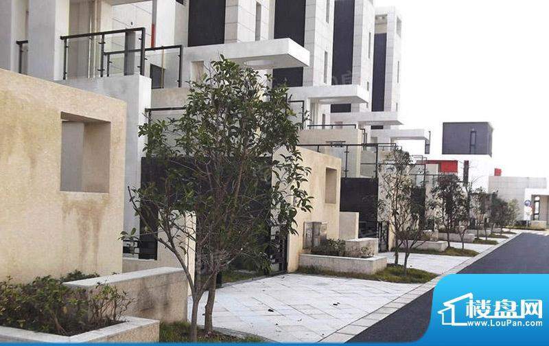 临港蓝色城邦别墅配套图