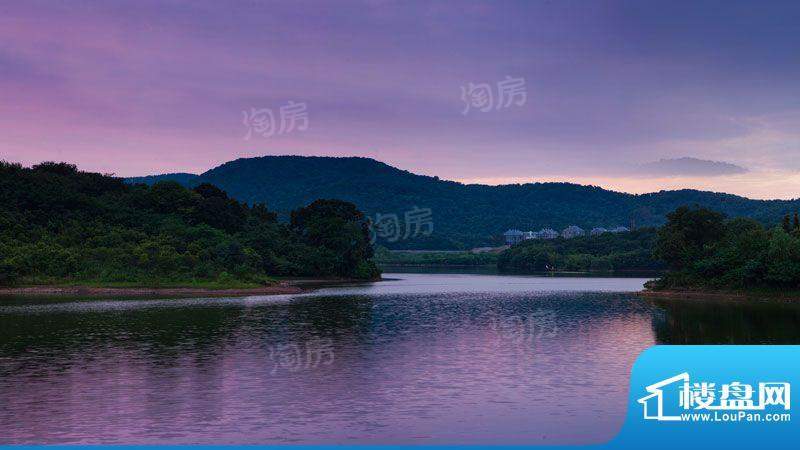 佛手湖森林庄园配套图