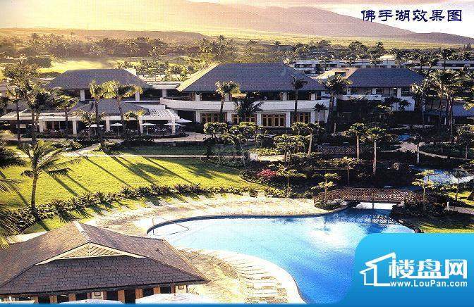 佛手湖森林庄园配套图
