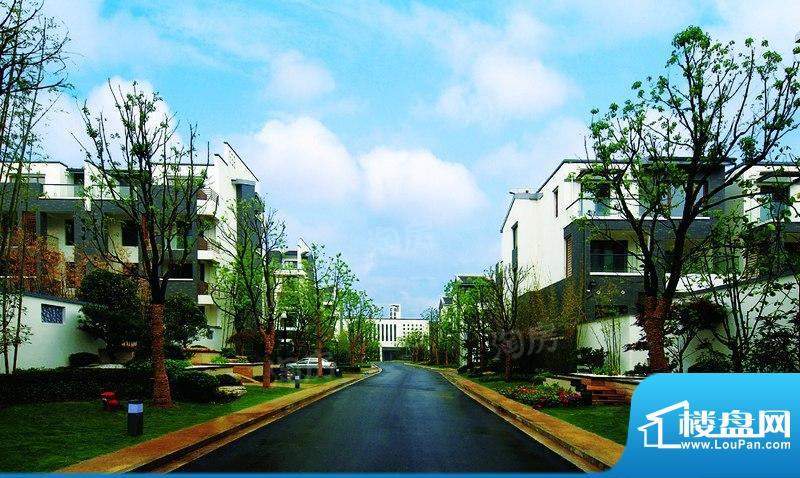 亚东朴园配套图