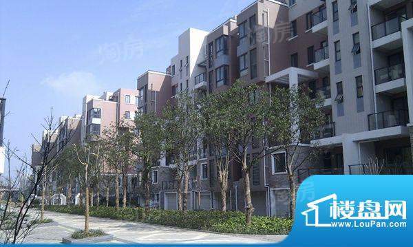云河湾配套图