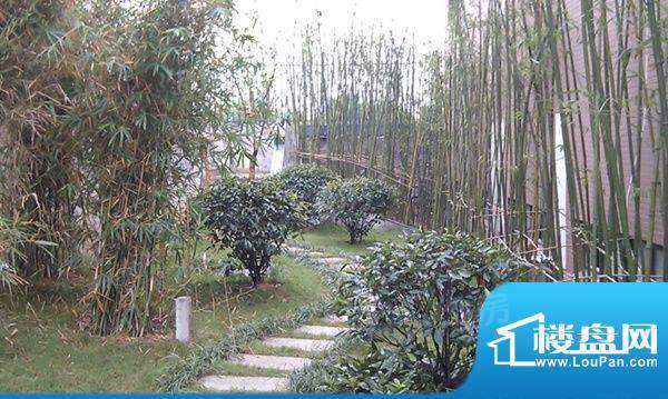 云河湾配套图
