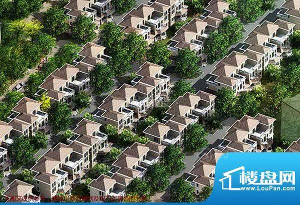 紫晶国际花园配套图