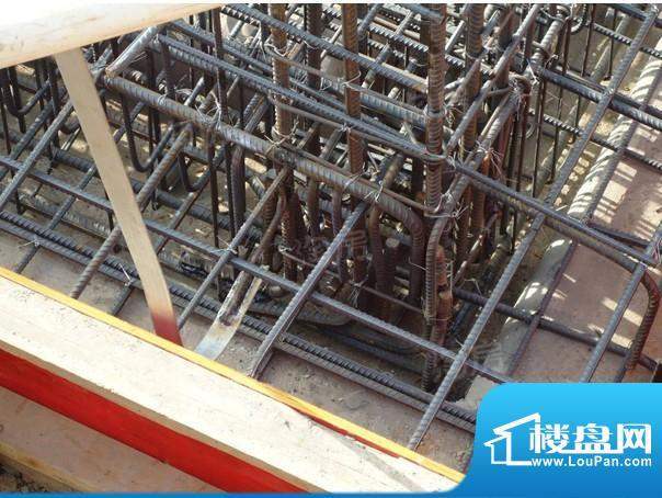 紫晶国际花园配套图