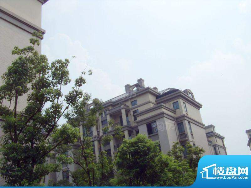 魏玛假日·壹墅配套图