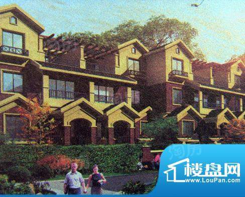 德林艺墅配套图