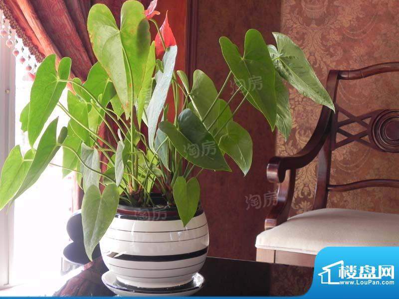 德林艺墅配套图