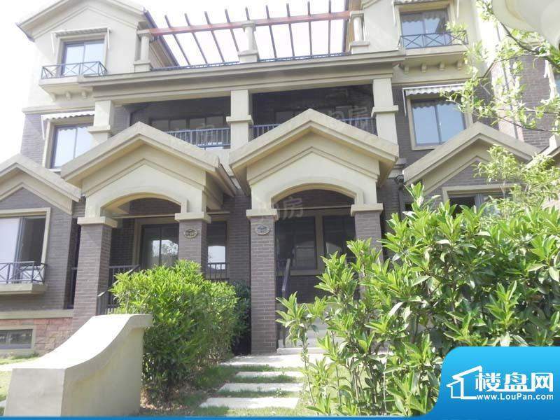 德林艺墅配套图