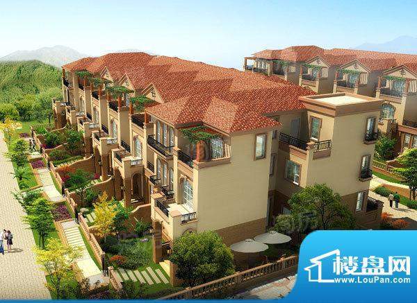 君临南山配套图