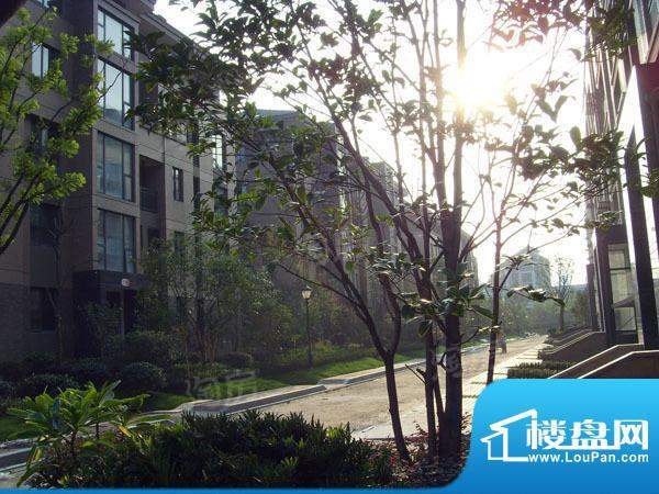 亚厦风和苑配套图