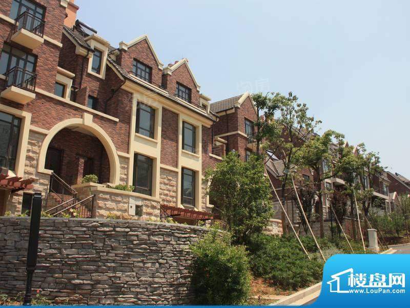 富达英伦印象花园配套图