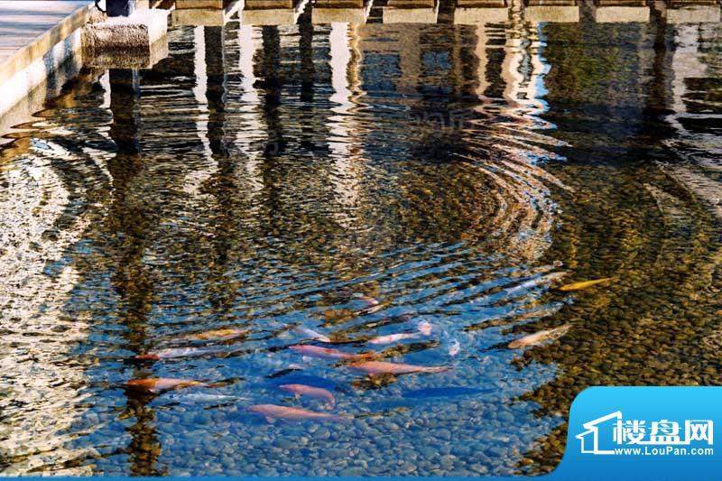 钱塘彩虹城配套图