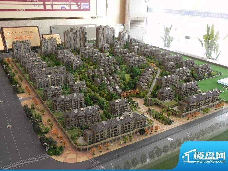 龙山庄园配套图