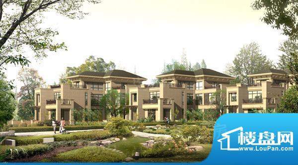 龙山庄园配套图