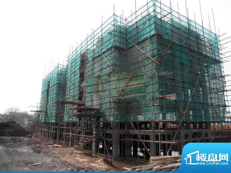 龙山庄园配套图