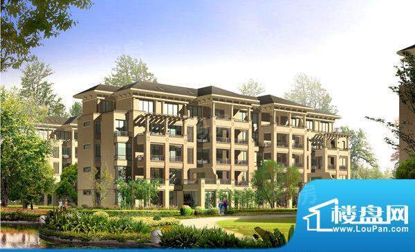 龙山庄园配套图