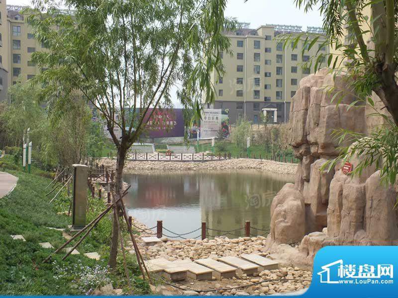 兴龙生态谷配套图