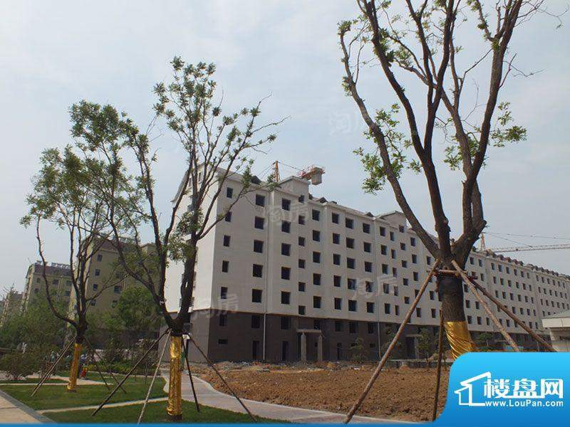 兴龙生态谷配套图