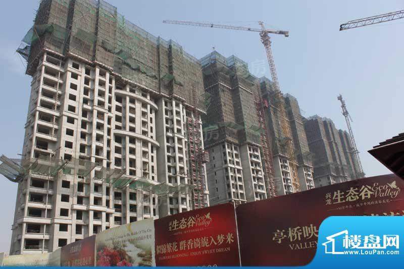 兴龙生态谷配套图